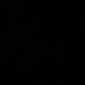 Meet your Posher, Tamia